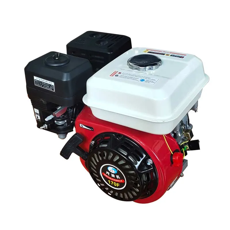 Hand Starting Gasoline Engine